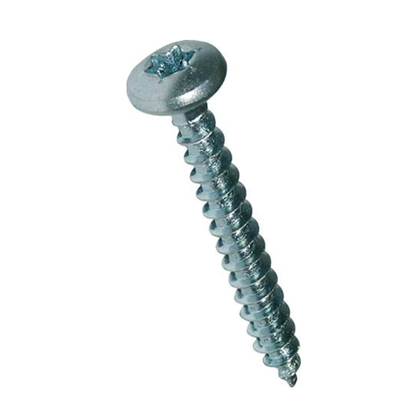 Skruv cylindrisk/kullrig 2,9x19 a4 torx din 9477-4 20 st