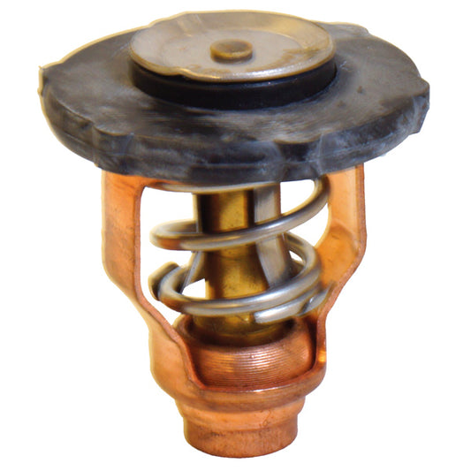 Termostat till Yamaha OEM 6FP-12411-00